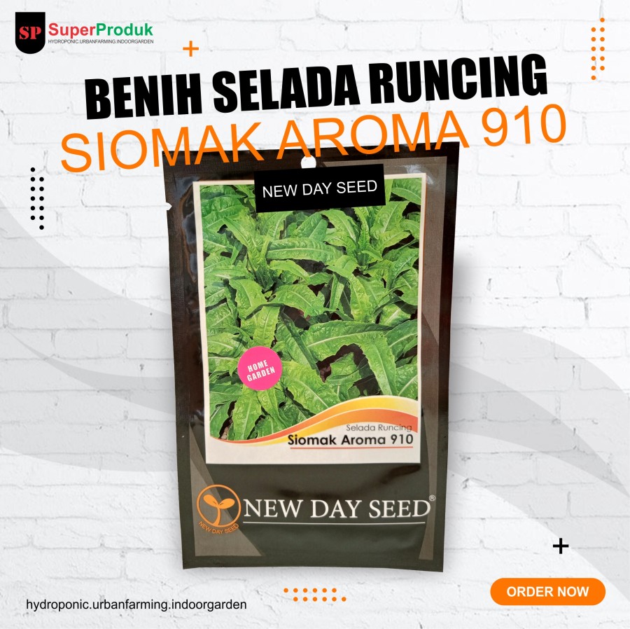Benih-Bibit Selada Runcing Siomak Aroma 910 New Day Seed