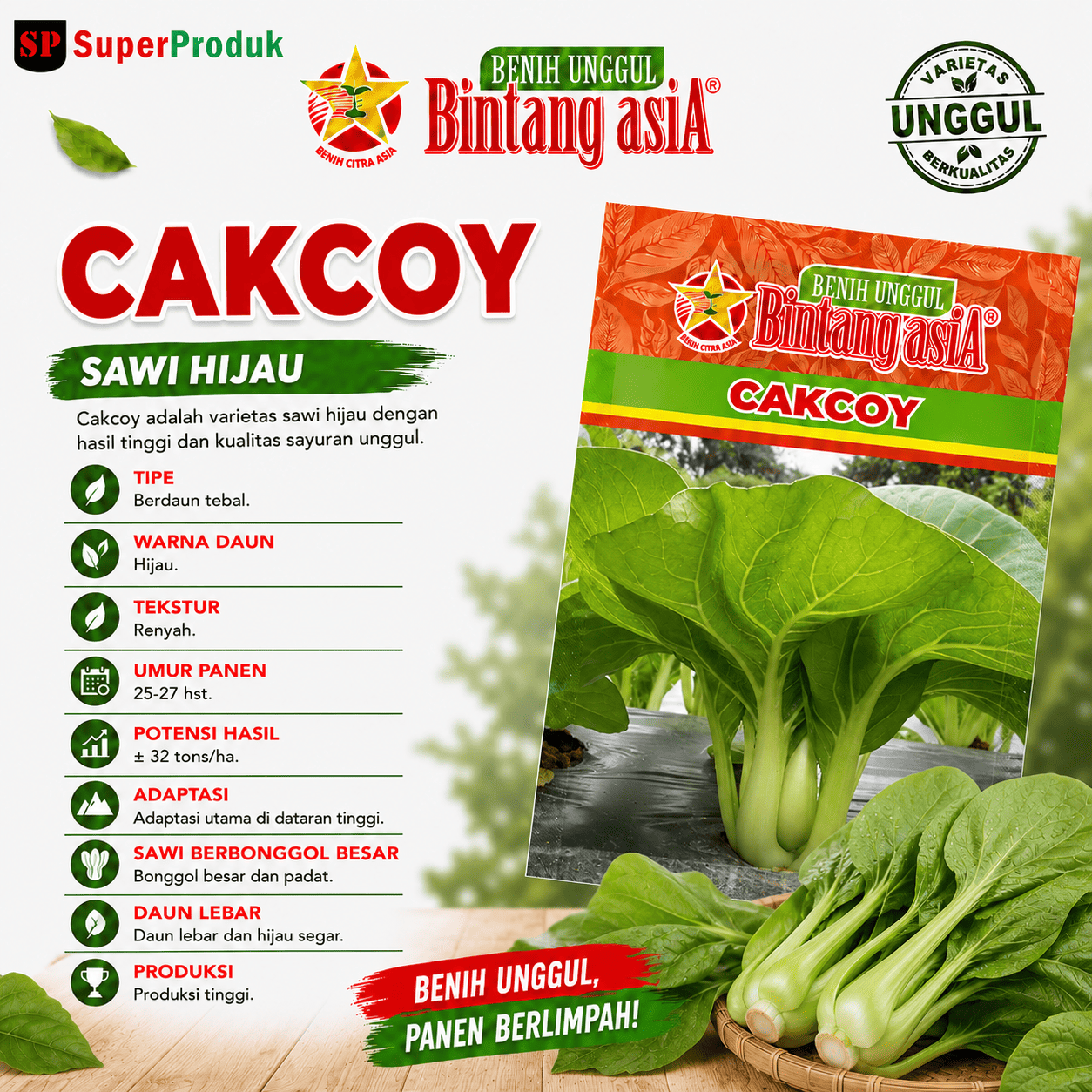 Benih Cakcoy