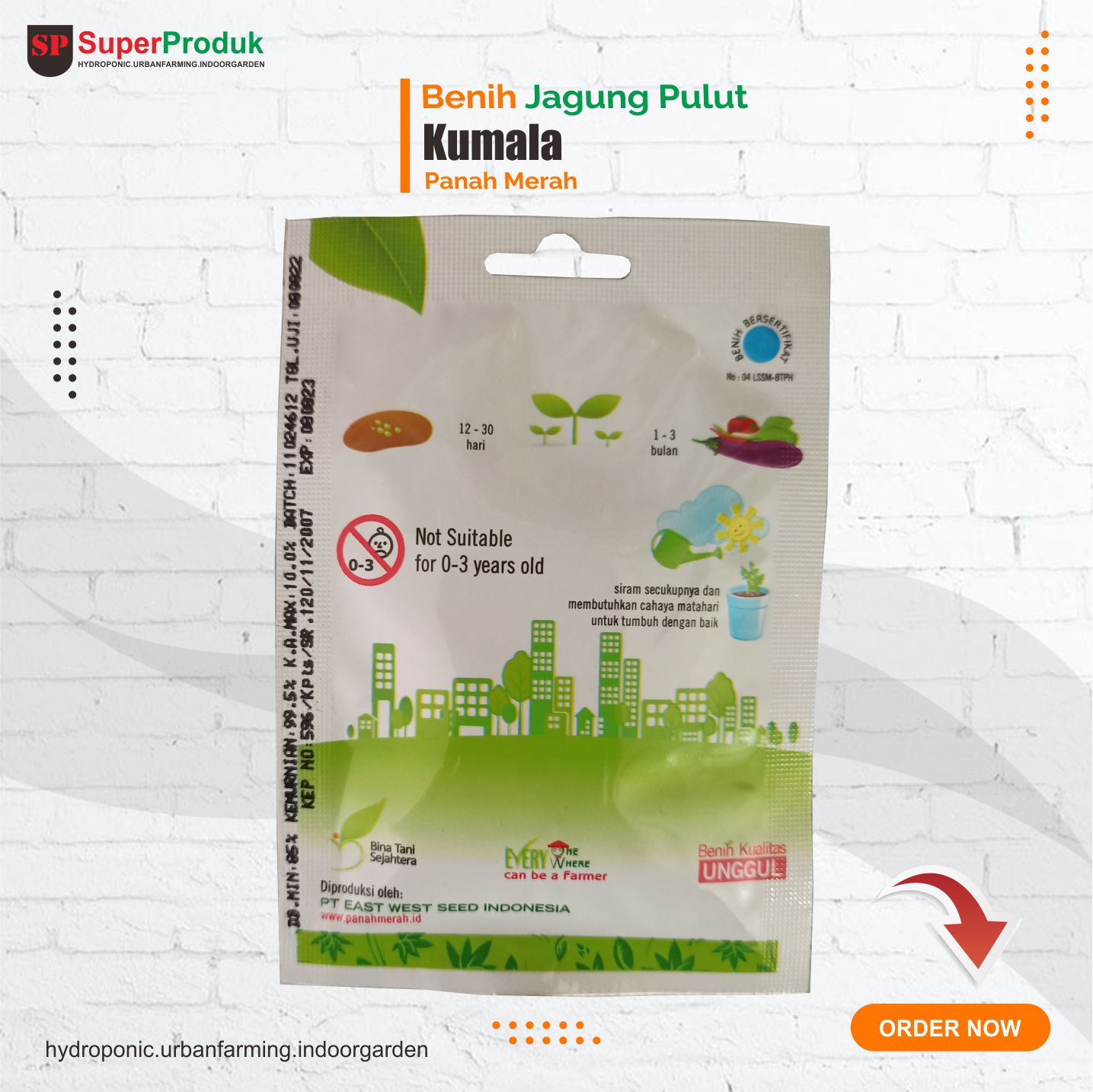 Benih Jagung Pulut Kumala F1 Jagung Manis Panah merah