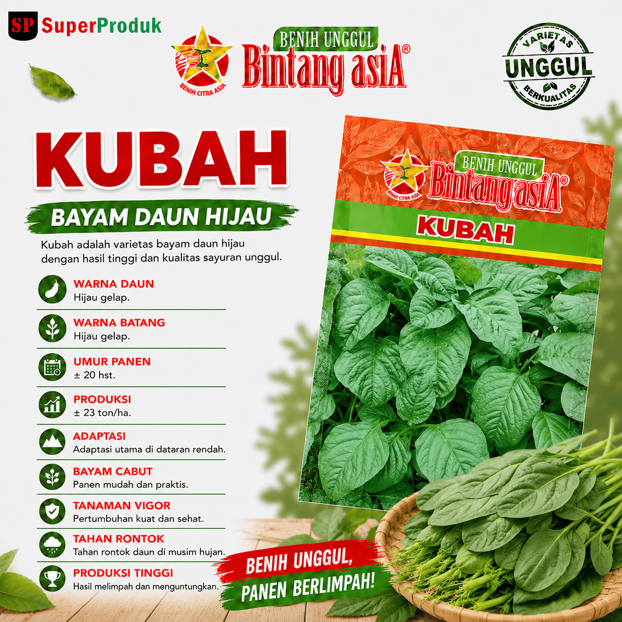 Benih Kubah