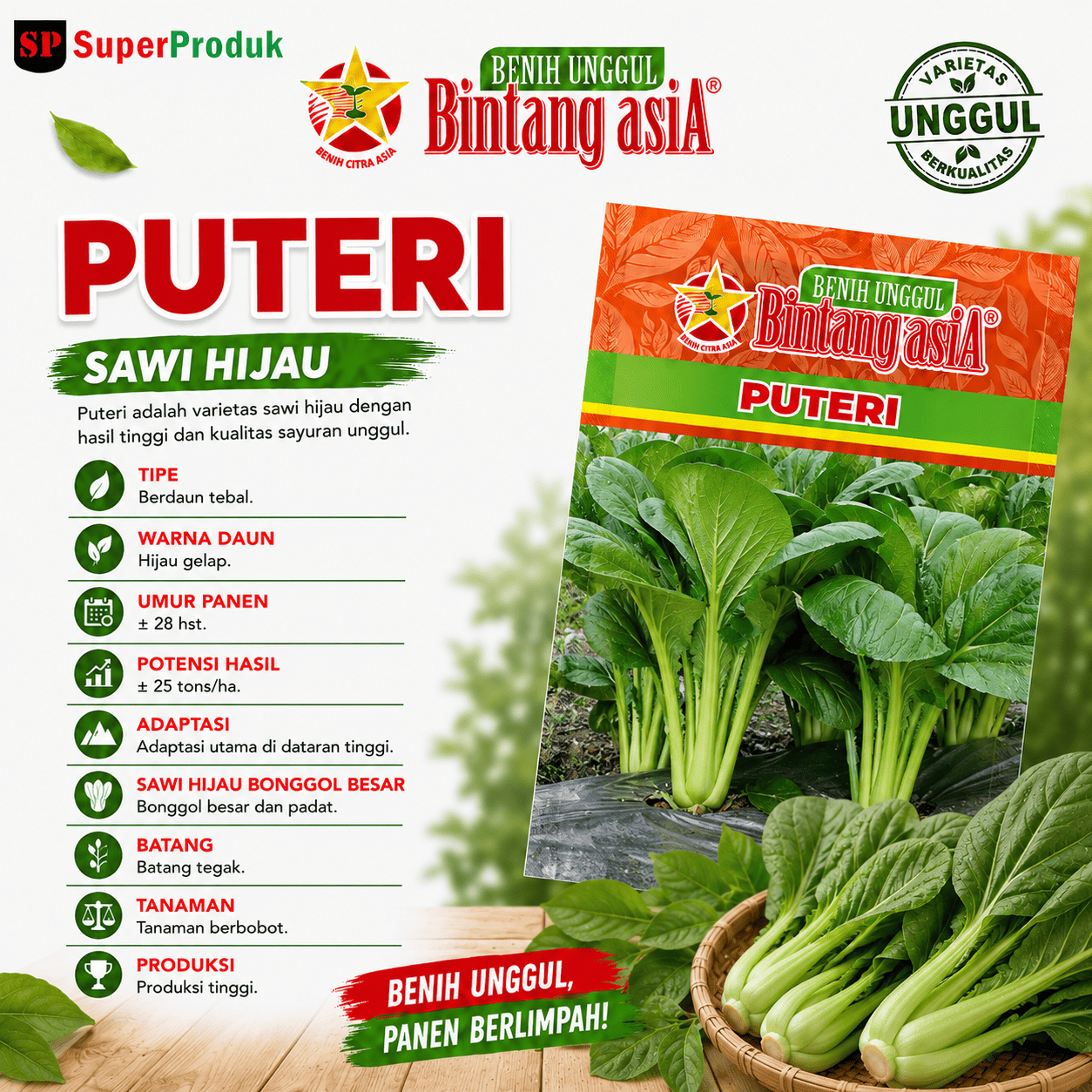 Benih Puteri