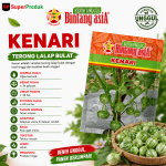 Benih Kenari