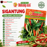 Benih Sigantung
