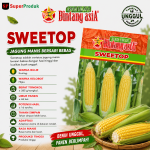 Benih Sweetop